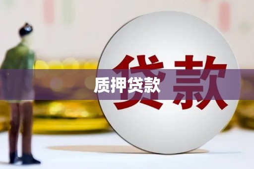 嘉陵质押贷款