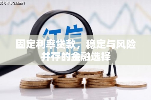 嘉陵固定利率贷款，稳定与风险并存的金融选择