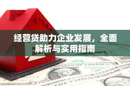 嘉陵经营贷助力企业发展，全面解析与实用指南