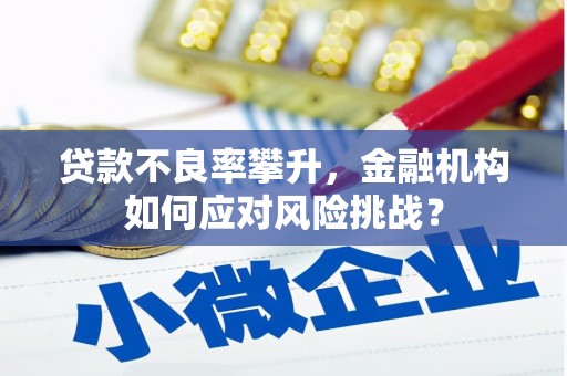 嘉陵贷款不良率攀升，金融机构如何应对风险挑战？