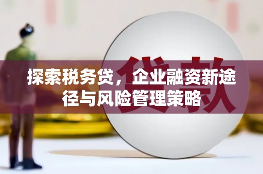 嘉陵探索税务贷，企业融资新途径与风险管理策略