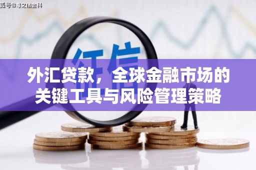 嘉陵外汇贷款，全球金融市场的关键工具与风险管理策略