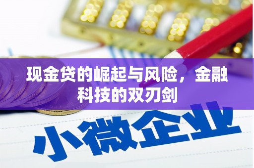 嘉陵现金贷的崛起与风险，金融科技的双刃剑