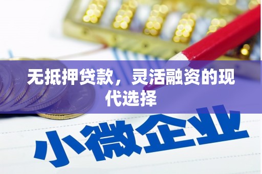 嘉陵无抵押贷款，灵活融资的现代选择