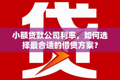 嘉陵小额贷款公司利率，如何选择最合适的借贷方案？