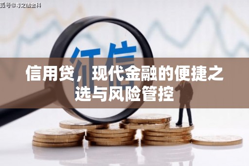 嘉陵信用贷，现代金融的便捷之选与风险管控