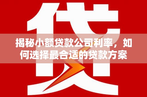 嘉陵揭秘小额贷款公司利率，如何选择最合适的贷款方案