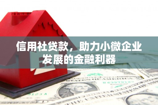 嘉陵信用社贷款，助力小微企业发展的金融利器