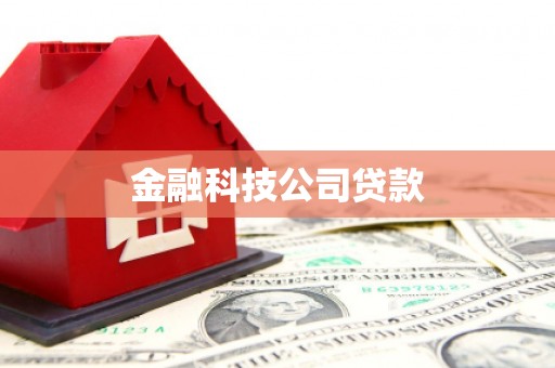 嘉陵金融科技公司贷款