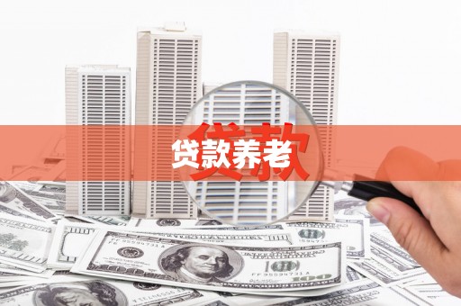 嘉陵贷款养老