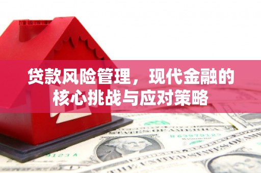 嘉陵贷款风险管理，现代金融的核心挑战与应对策略