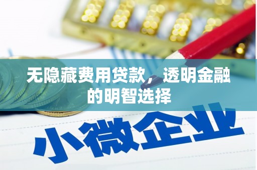嘉陵无隐藏费用贷款，透明金融的明智选择