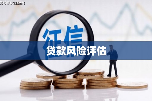 嘉陵贷款风险评估