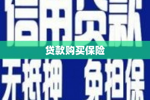 嘉陵贷款购买保险