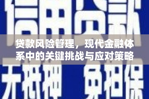 嘉陵贷款风险管理，现代金融体系中的关键挑战与应对策略