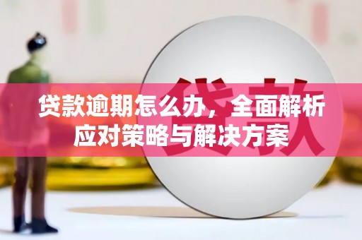 嘉陵贷款逾期怎么办，全面解析应对策略与解决方案