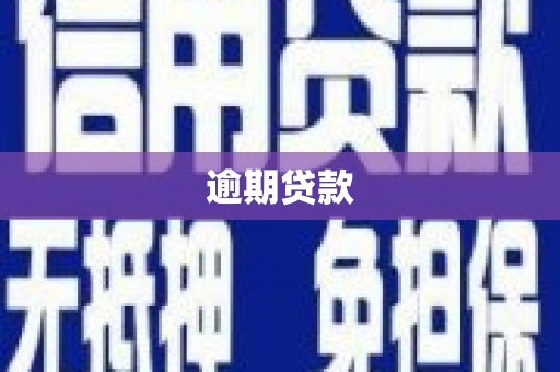 嘉陵逾期贷款